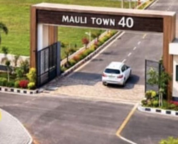RL plots nearby MIHAN, Samruddhi circle