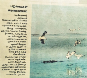 Property for sale in Ponneri, Thiruvallur