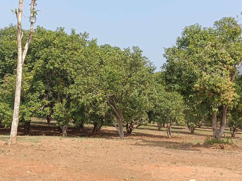 Residential Plot For Sale In Madhurawada, Visakhapatnam (10000 Sq. Yards)