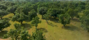 Property for sale in Pusapatirega, Vizianagaram