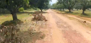 Property for sale in Pusapatirega, Vizianagaram