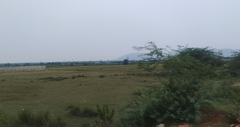 Residential Plot For Sale In Pusapatirega Mandal, Vizianagaram (12 Acre)