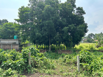 Property for sale in Kalyani, Kolkata