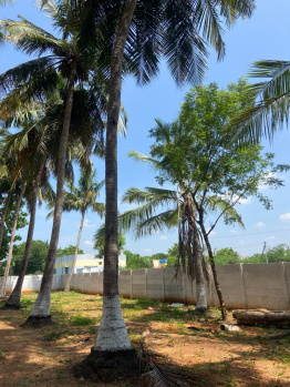 Property for sale in Mutharasanallur, Tiruchirappalli