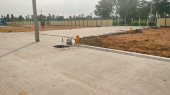 Premium Residential Plot at Mathur