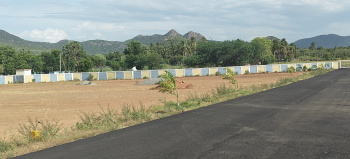 Residential Plot for Sale in Manapparai, Tiruchirappalli (1200 Sq.ft.)