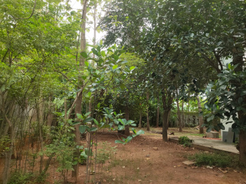 Property for sale in Mariyamman Kovil Rd, Thanjavur