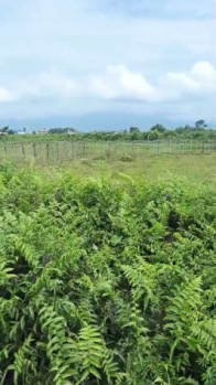 Residential Plot for Sale in Matigara, Siliguri (31680 Sq.ft.)