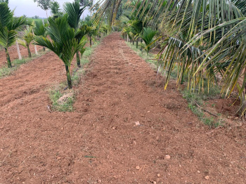 Agricultural/Farm Land for Sale in Bannur Road, Mysore (2 Acre)