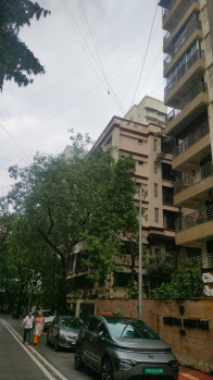 2 BHK Flats & Apartments for Rent in Central Avenue Road, Mumbai (750 Sq.ft.)
