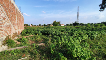Residential Plot for Sale in Shankargarh, Prayagraj (1200 Sq.ft.)