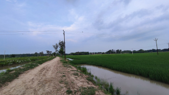 40 Bigha Residential Plot for Sale in Gauhania, Prayagraj