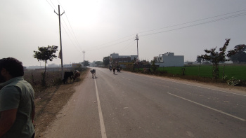 Residential Plot for Sale in Jhalwa, Prayagraj (1800 Sq.ft.)