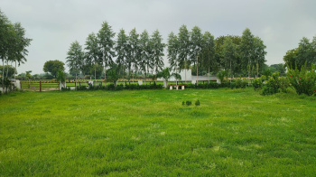 Property for sale in Shankargarh, Allahabad