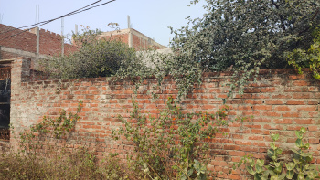 Residential Plot for Sale in Naini, Prayagraj (1250 Sq.ft.)