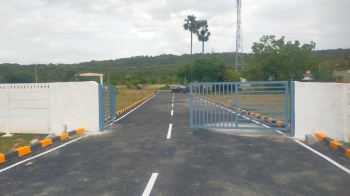 Residential Plot for Sale in Guduvancheri, Chennai (1000 Sq.ft.)