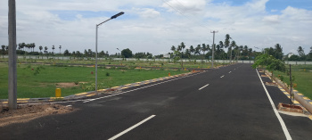 Residential Plot for Sale in Manikandam, Tiruchirappalli (1200 Sq.ft.)