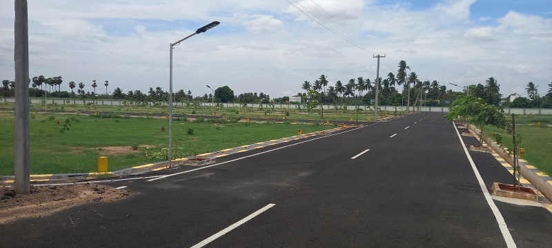 Residential Plot For Sale In Manikandam, Tiruchirappalli (1200 Sq.ft.)