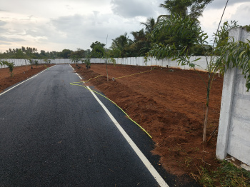 Property for sale in Olaiyur, Tiruchirappalli