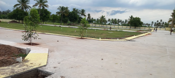Property for sale in Panjapur, Tiruchirappalli