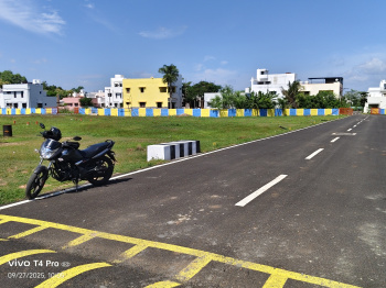 Residential Plot for Sale in Thalakudi, Tiruchirappalli (1200 Sq.ft.)