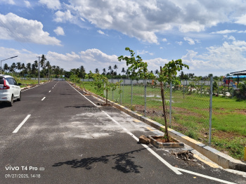 Near panjapur Bus Terminus property