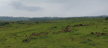 17 Ares Industrial Land / Plot For Sale In Talegaon MIDC Road, Pune, Pune