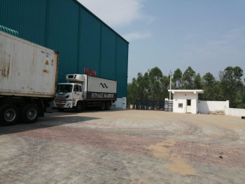 Warehouse/Godown for Rent in Arang, Raipur (176000 Sq.ft.)
