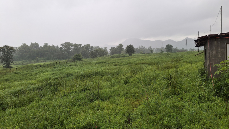 Agricultural/Farm Land For Sale In Karjat, Raigad (120 Guntha)