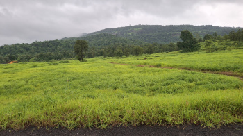 Agricultural/Farm Land for Sale in Karjat, Raigad (115 Guntha)