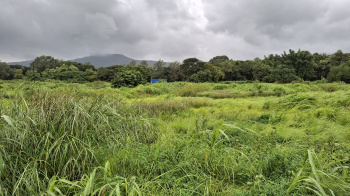 Residential Plot for Sale in Karjat, Raigad (125 Guntha)