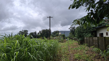 Agricultural/Farm Land for Sale in Karjat, Raigad (200 Guntha)