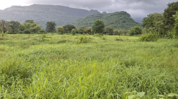 Agricultural/Farm Land for Sale in Karjat, Raigad (40 Guntha)