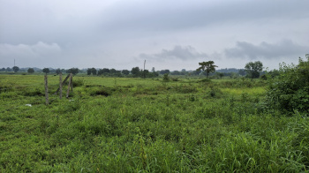 Agricultural/Farm Land for Sale in Karjat, Raigad (200 Guntha)