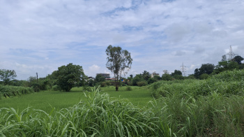 Residential Plot for Sale in Karjat, Mumbai (1000 Guntha)