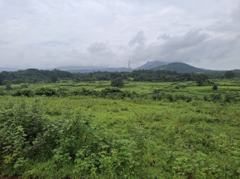 Agricultural/Farm Land for Sale in Karjat, Raigad (2200 Sq.ft.)