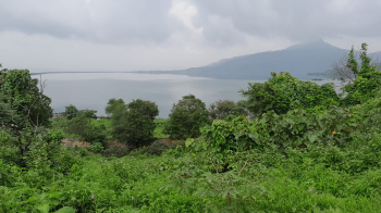 Agricultural/Farm Land for Sale in Karjat, Raigad (40 Guntha)