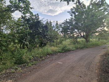 Agricultural/Farm Land for Sale in Karjat, Raigad (80 Guntha)