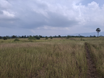 Agricultural/Farm Land for Sale in Karjat, Raigad (100 Guntha)