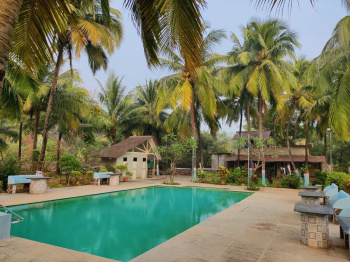 Farm House for Sale in Alibag, Raigad (52 Guntha)