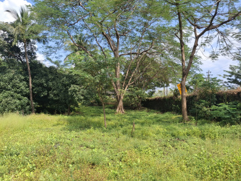52 Guntha Agricultural/Farm Land for Sale in Morba, Raigad