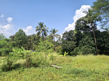 Residential Plot for Rent in Morba, Raigad (52 Guntha)