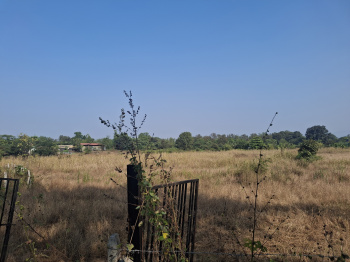 Agricultural/Farm Land for Sale in Karjat, Raigad (120 Guntha)