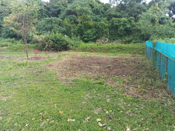 Property for sale in Alibag, Raigad