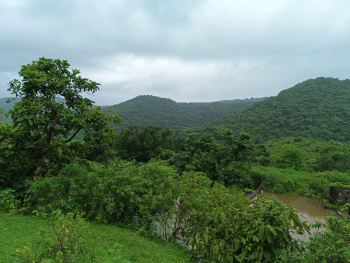 4 Acre Agricultural/Farm Land for Sale in Murud, Raigad