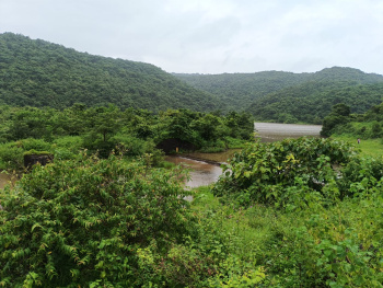 Property for sale in Murud, Raigad