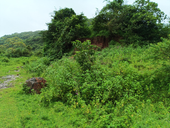Property for sale in Kashid, Raigad
