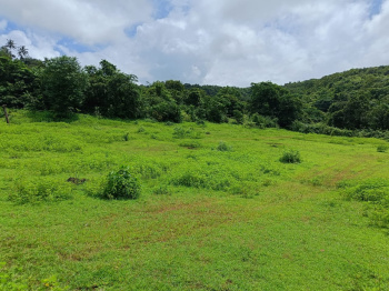 182 Acre Agricultural/Farm Land for Sale in Roha, Raigad