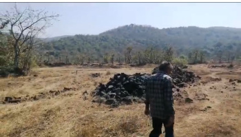 Property for sale in Mhasla, Raigad