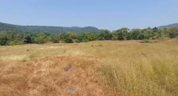8 lack per ghunta land near by Kashid
